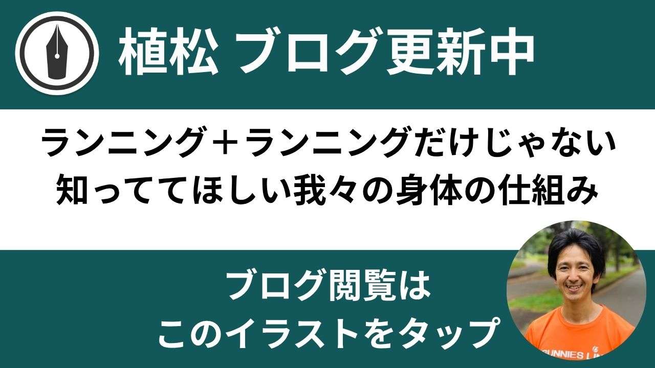 https://sunnieslink.hatenablog.com/
