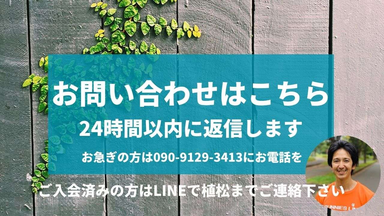 /contact/
